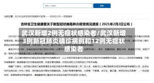 武汉新增2例无症状感染者/武汉新增3例新冠肺炎确诊病例和12例无症状感染者-第1张图片