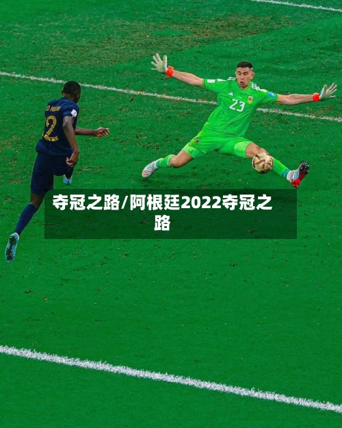 夺冠之路/阿根廷2022夺冠之路-第1张图片