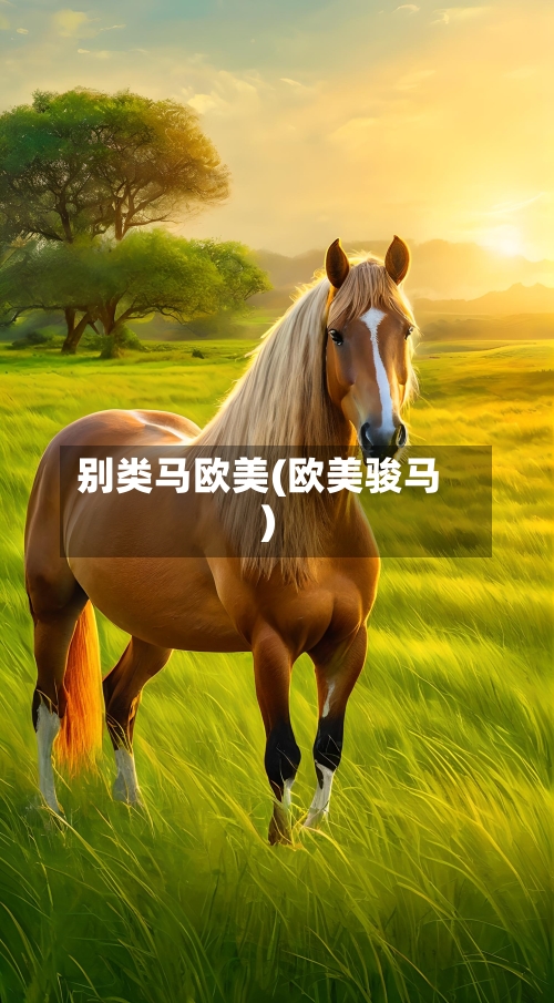 别类马欧美(欧美骏马)-第1张图片