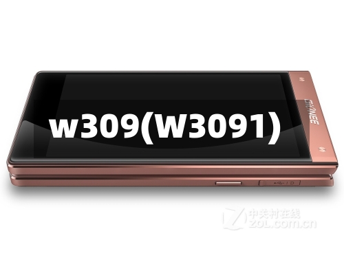 w309(W3091)-第1张图片