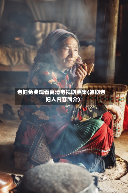 老妇免费观看高清电视剧全集(韩剧老妇人内容简介)-第1张图片