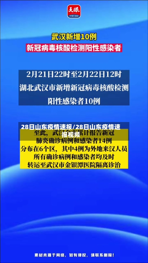 28日山东疫情速报/28日山东疫情速报视频-第1张图片