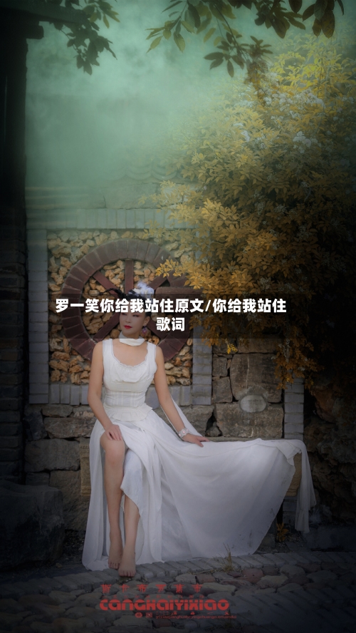 罗一笑你给我站住原文/你给我站住歌词-第1张图片