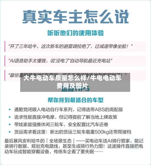 大牛电动车质量怎么样/牛电电动车费用及图片-第1张图片