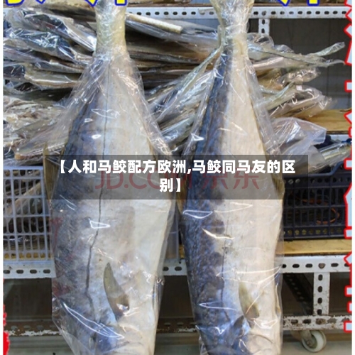 【人和马鲛配方欧洲,马鲛同马友的区别】-第1张图片