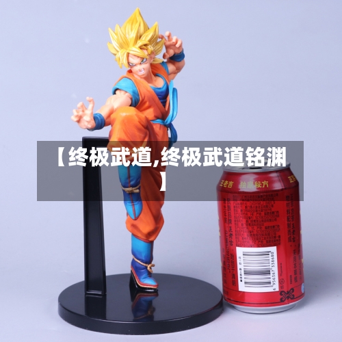 【终极武道,终极武道铭渊】-第1张图片