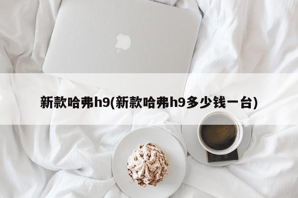 新款哈弗h9(新款哈弗h9多少钱一台)