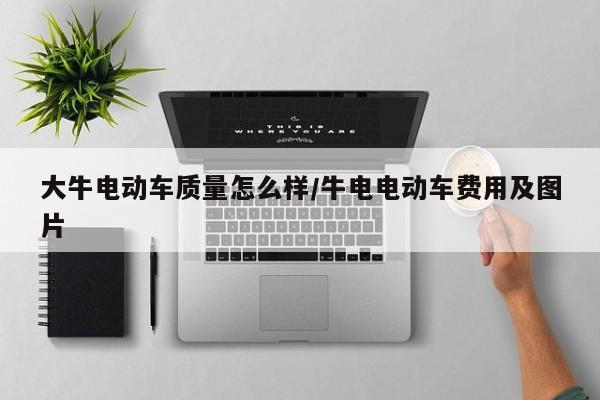 大牛电动车质量怎么样/牛电电动车费用及图片